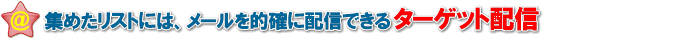 集めたリストにはターゲット配信ができる