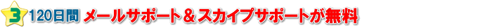 メール&スカイプサポート無料