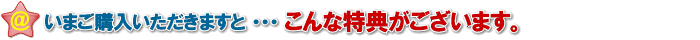 ご購入いただいたあなたへの特典は・・・